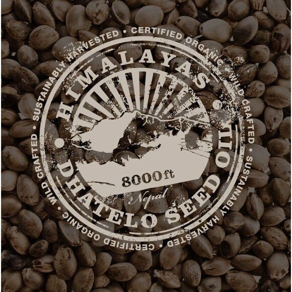 Tweak'd by Nature Choco-Loco Volumizing Conditioner 33.8 oz SEALED with Pump - Picture 6 of 6